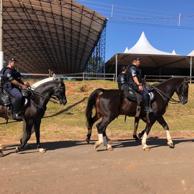 Cavalhada marca início dos festejos da Festa do Peão de Boiadeiro de  Bragança Paulista – O Atibaiense